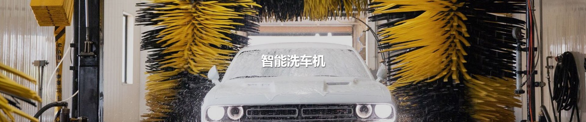 ʱ(й)ǲ! 